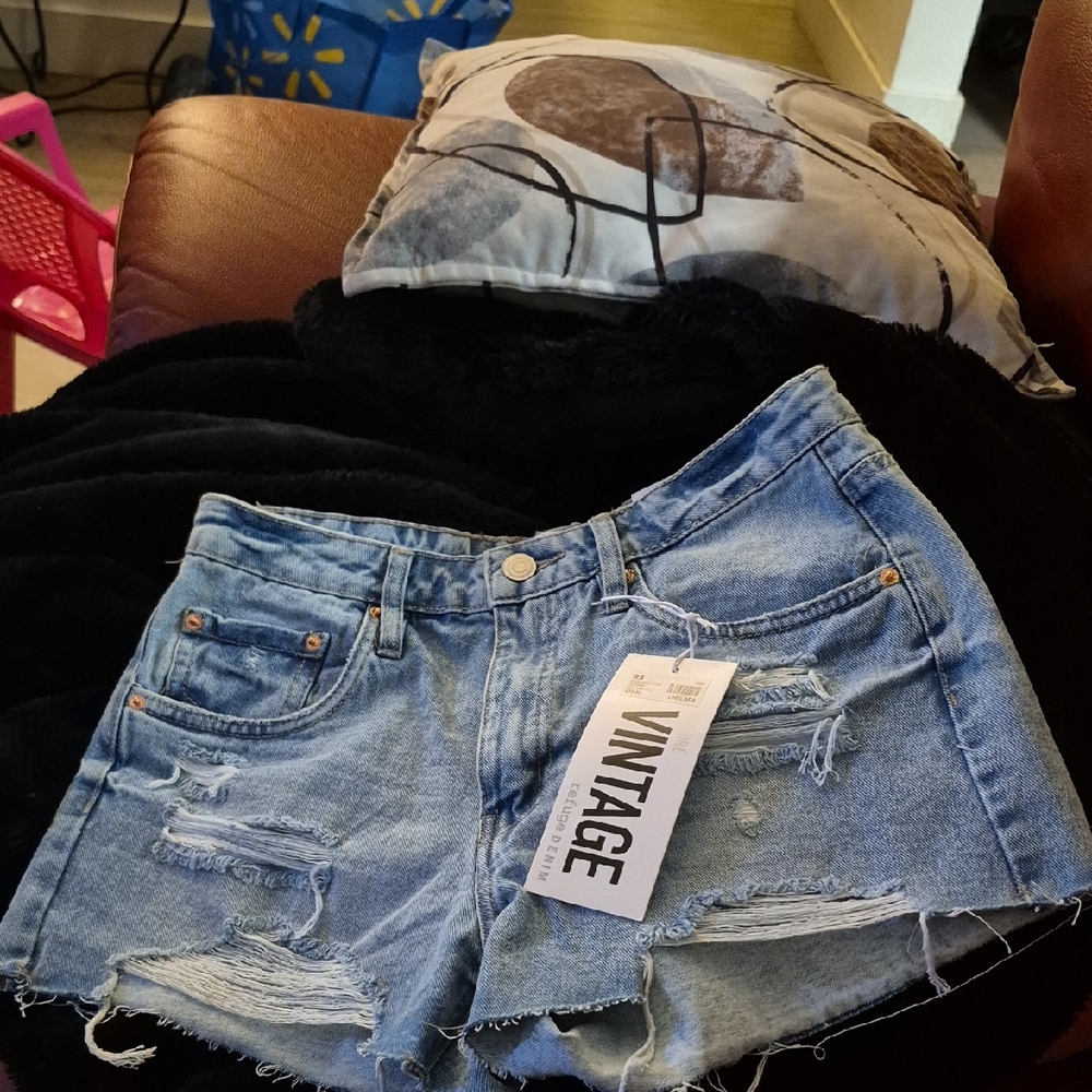 Vintage Distressed Blue Jean Shorts